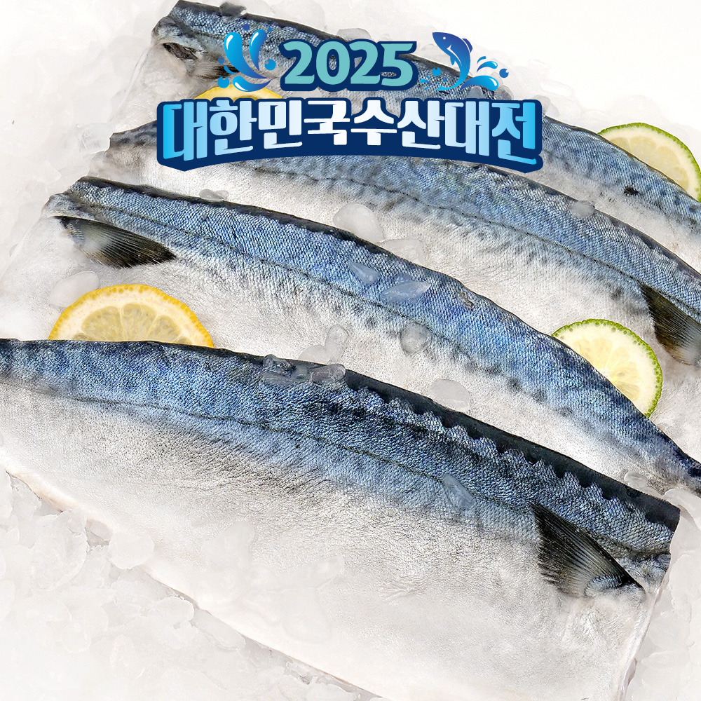 제주 손질 간 고등어 자반 고등어살