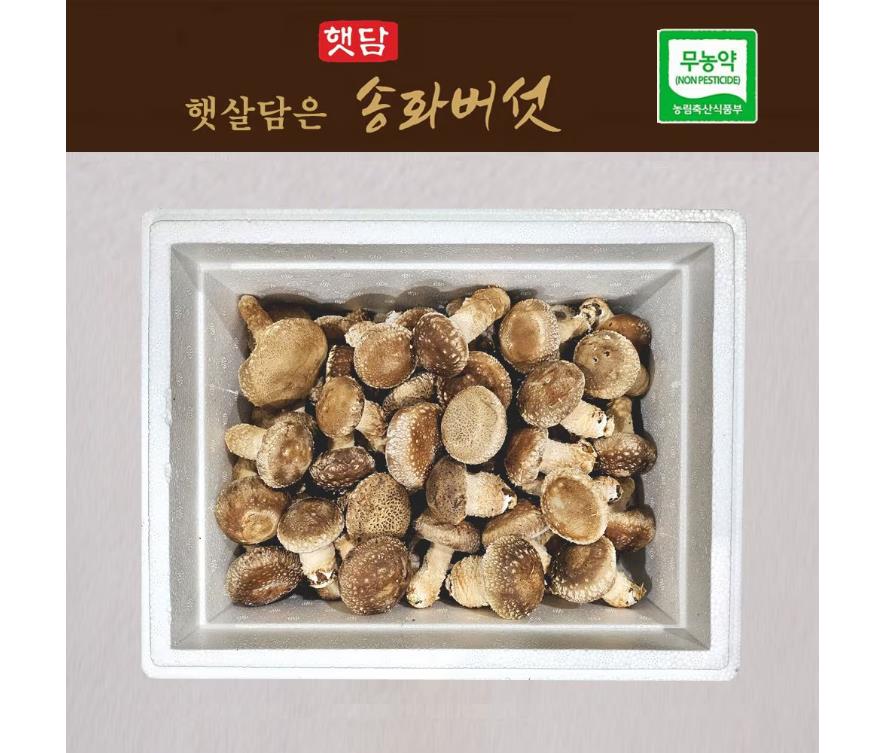 햇담 무농약재배 송화버섯 가정용 500g : 구쿠다스