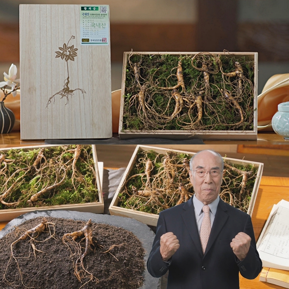 진품 강원도 치악산 산양삼 10뿌리 국내산 인삼 새싹 산양삼 사포닌 활력 원기회복 묘삼