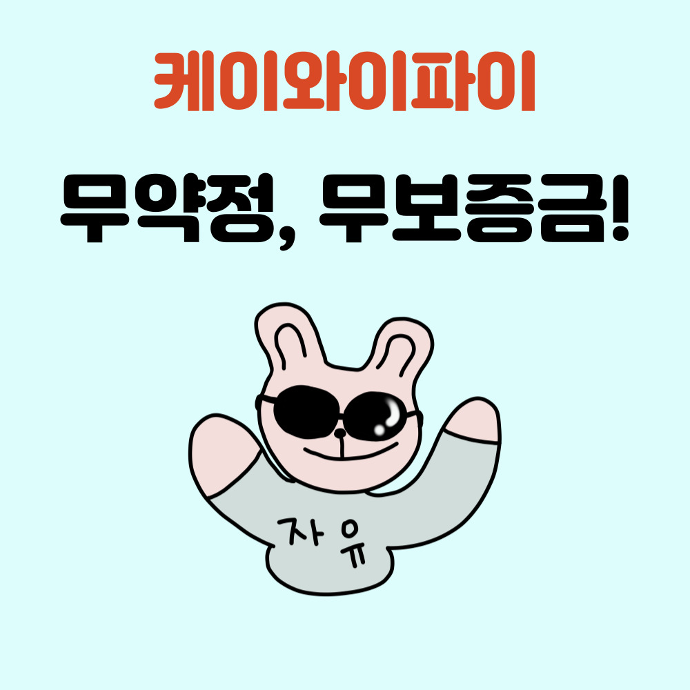 에그대여 국내 모바일라우터 와이파이포켓 유플러스에그 모바일핫스팟 30일 10GB 대여