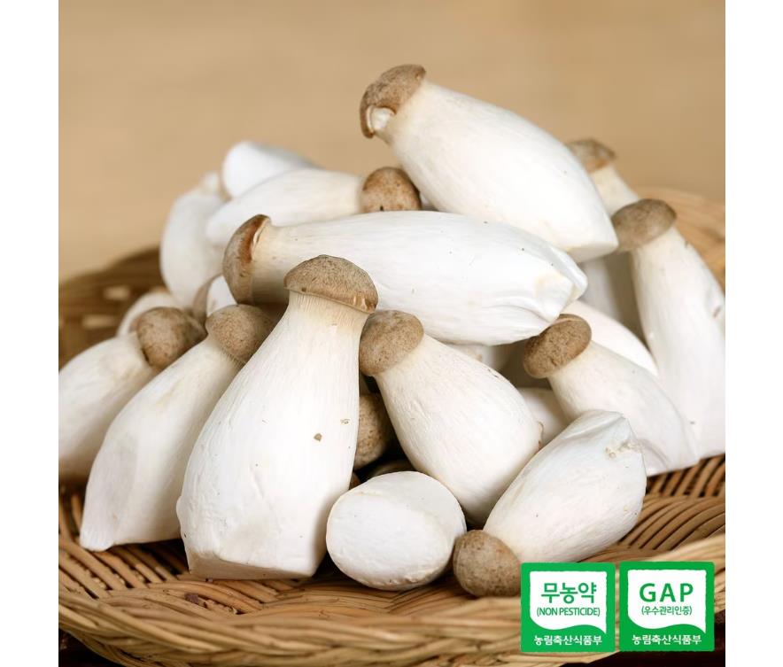 호산목장 조리편한 새송이버섯 1kg 조림용 : 구쿠다스