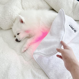 아픈 강아지 고양이 디스크 슬개골탈구 치료관리 근적외선광치료기 펫스니즈-... 솔직 후기 | 실제 사용자 리뷰 총정리 - 상품 이미지 2