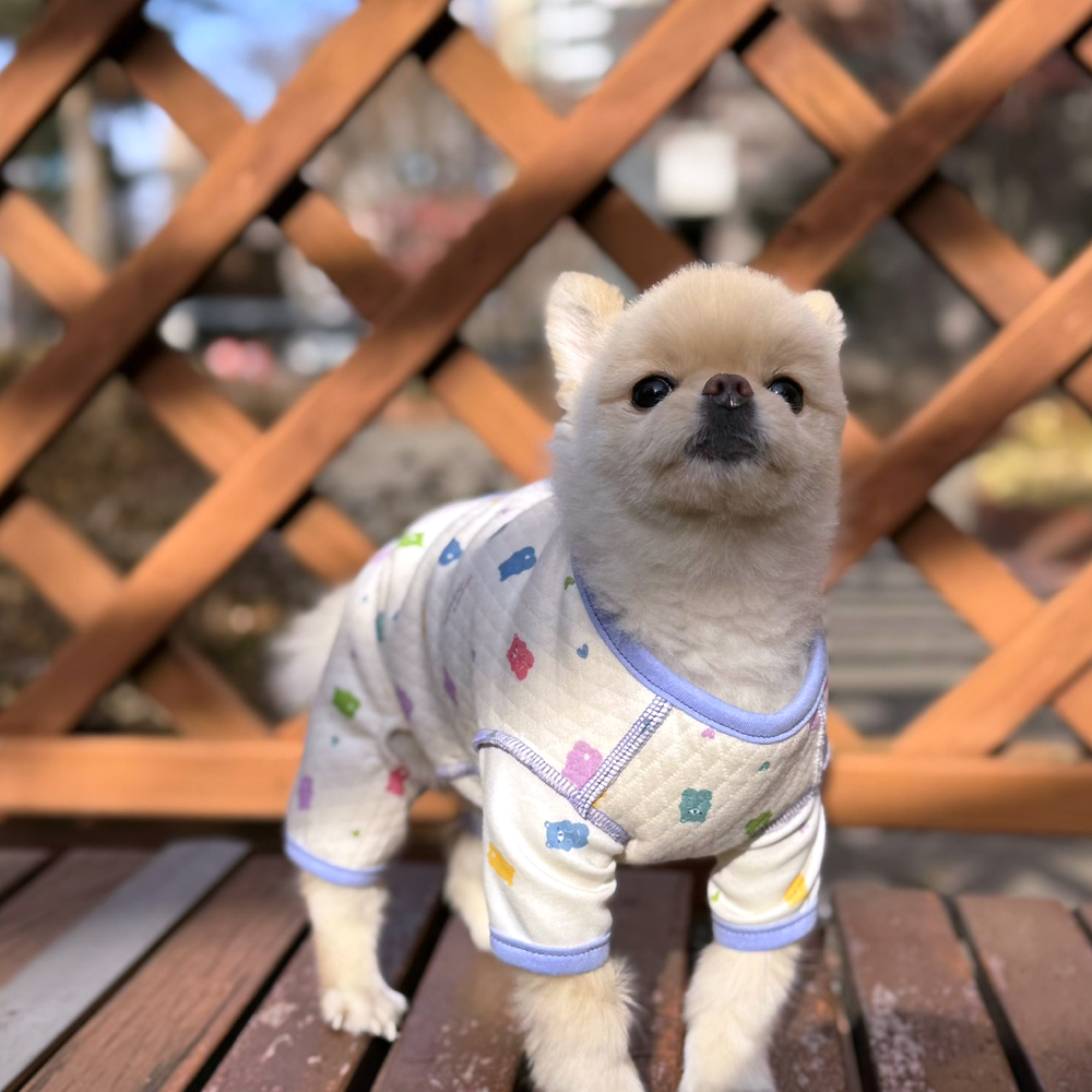 강아지옷 올인원 오가닉 여자용 애견 등단추 편안한 잠옷 실내복 베어 남아 XS 이미지 3