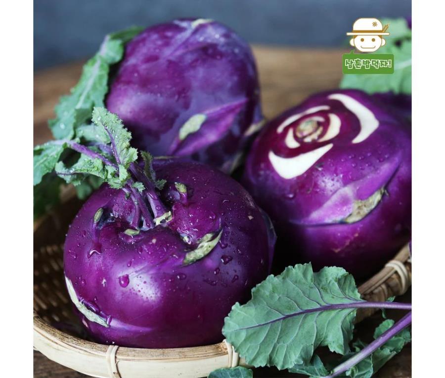 삼촌농장 아삭달콤 제주 콜라비 3kg : 구쿠다스