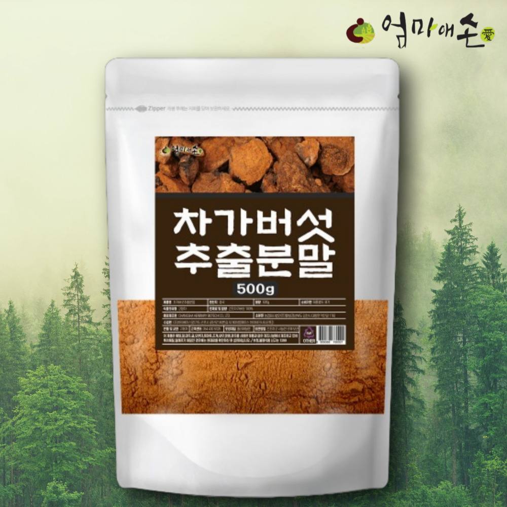 차가버섯 추출 분말 100% 식이섬유 차 가루 500g