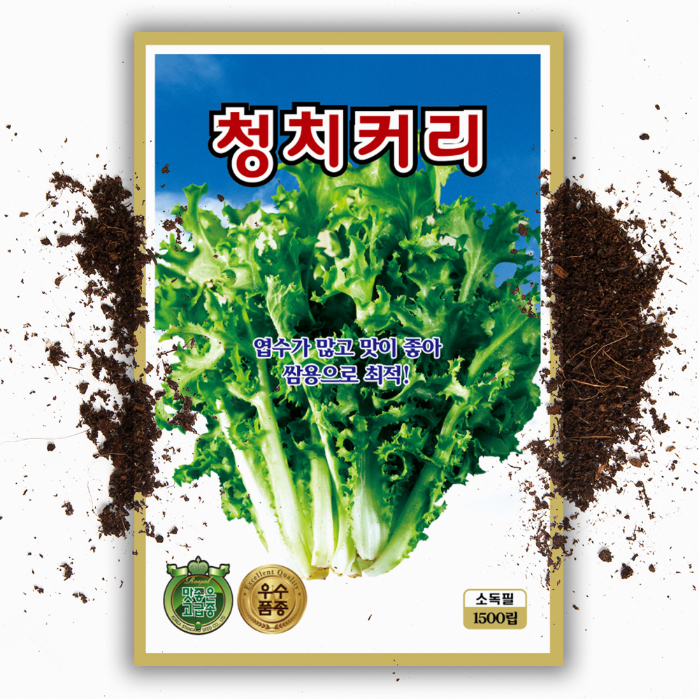 청 치커리 씨앗 1500립 치커리씨 채소 종자 - 상품 이미지