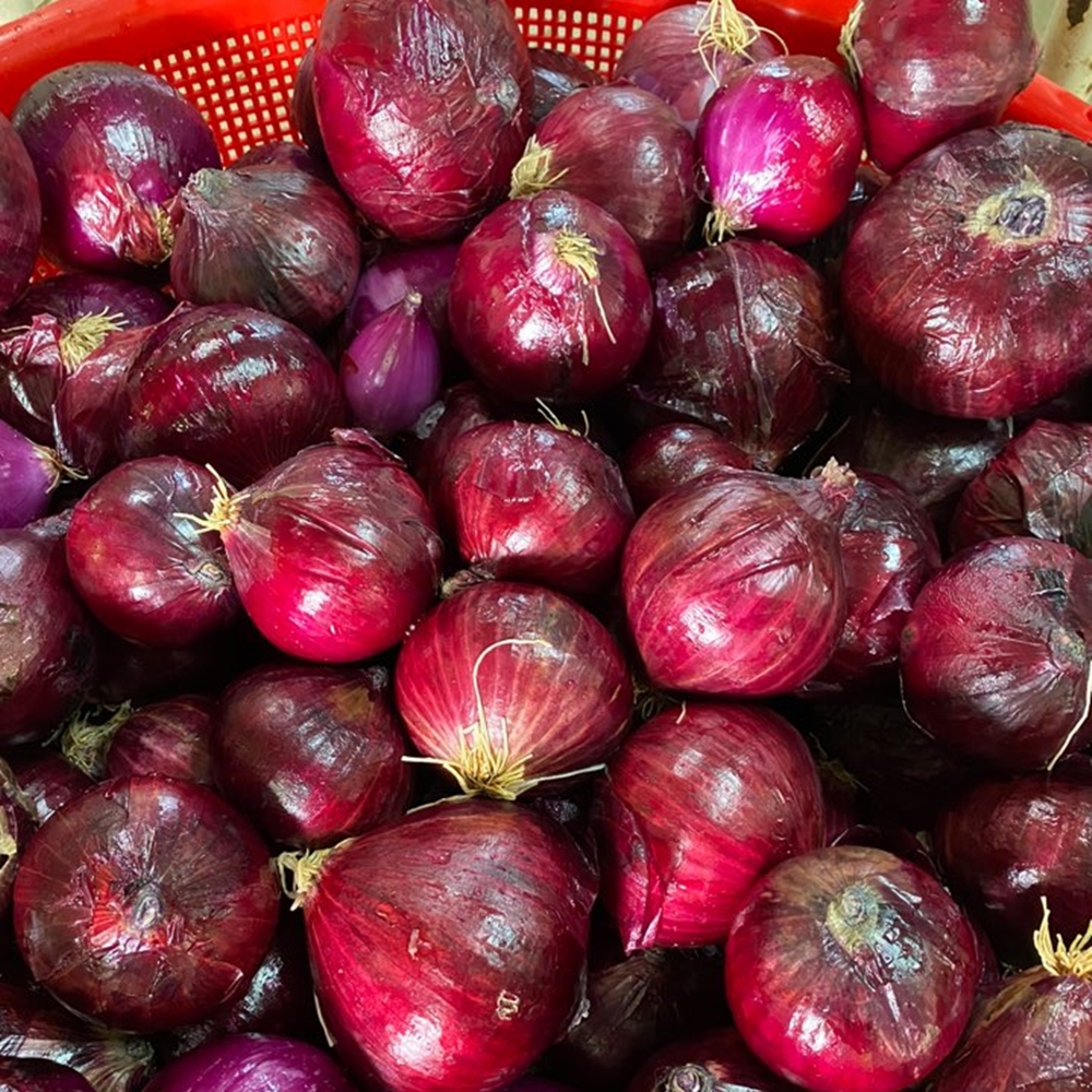 (25년 햇양파즙 예약 판매) 무안 적양파즙 적색양파즙 60팩 빨간양파즙 - 상세 이미지 2