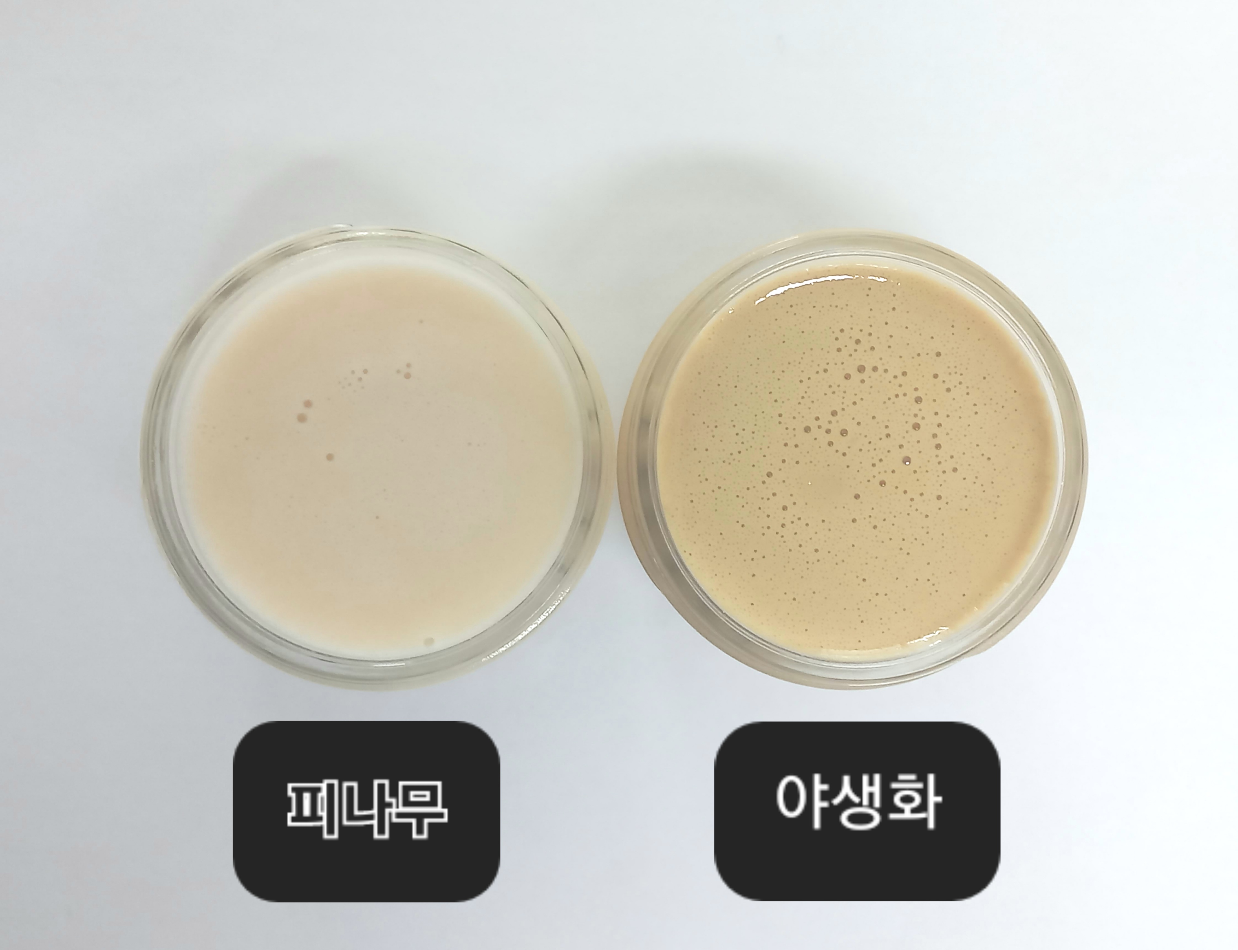 솔향 강릉벌꿀 피나무 야생화 크림꿀 천연벌꿀100% - 상세 이미지 4