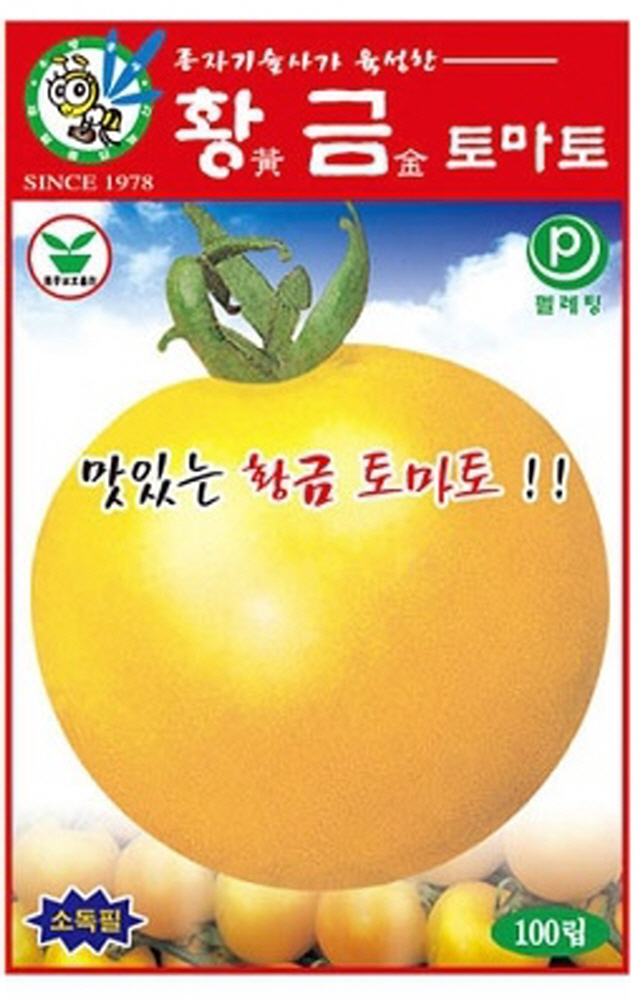 황금토마토 ( 100립 )맛있는 황금 토마토 종자 (AR) : 녹색그린농산