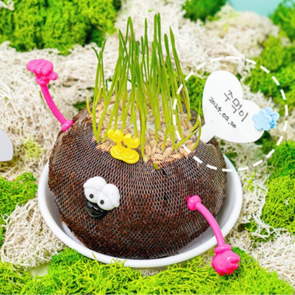 토피어리잔디인형키우기 원예치료 잔디인형DIY - 메인 이미지