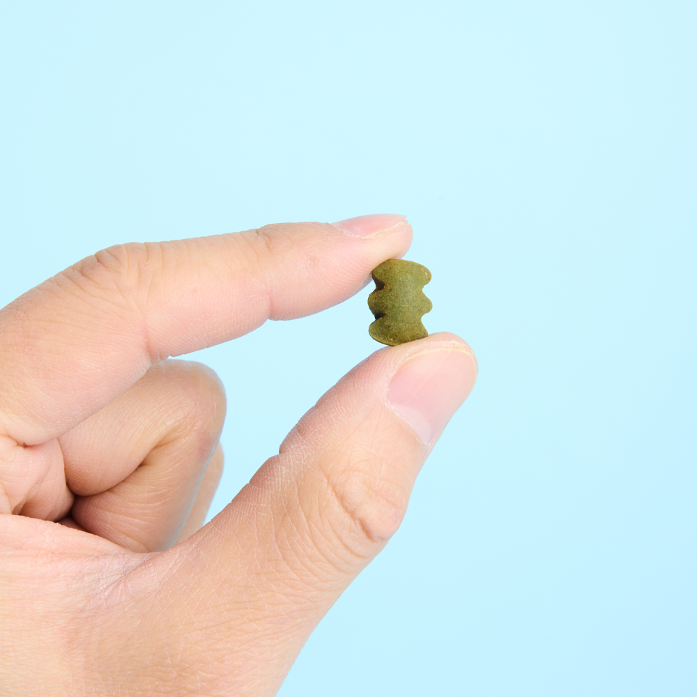 3651 치카타임 고양이 이빨과자 덴탈트릿 닭고기, 300g, 2개 이미지 3