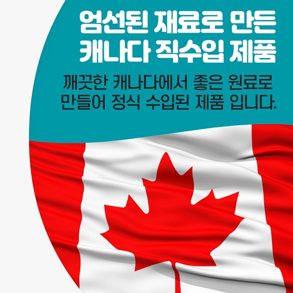 내츄럴플러스 캐나다 장용성 캡슐 100억 유산균 프로바이오틱스 아연 불가리쿠스 이미지 6