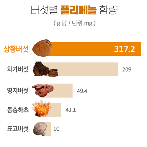 참굿즈 자연산 뽕나무 상황버섯 분말 가루 100% 80g 3통 캄보디아 고함량 베타글루칸 - 상세 이미지 5