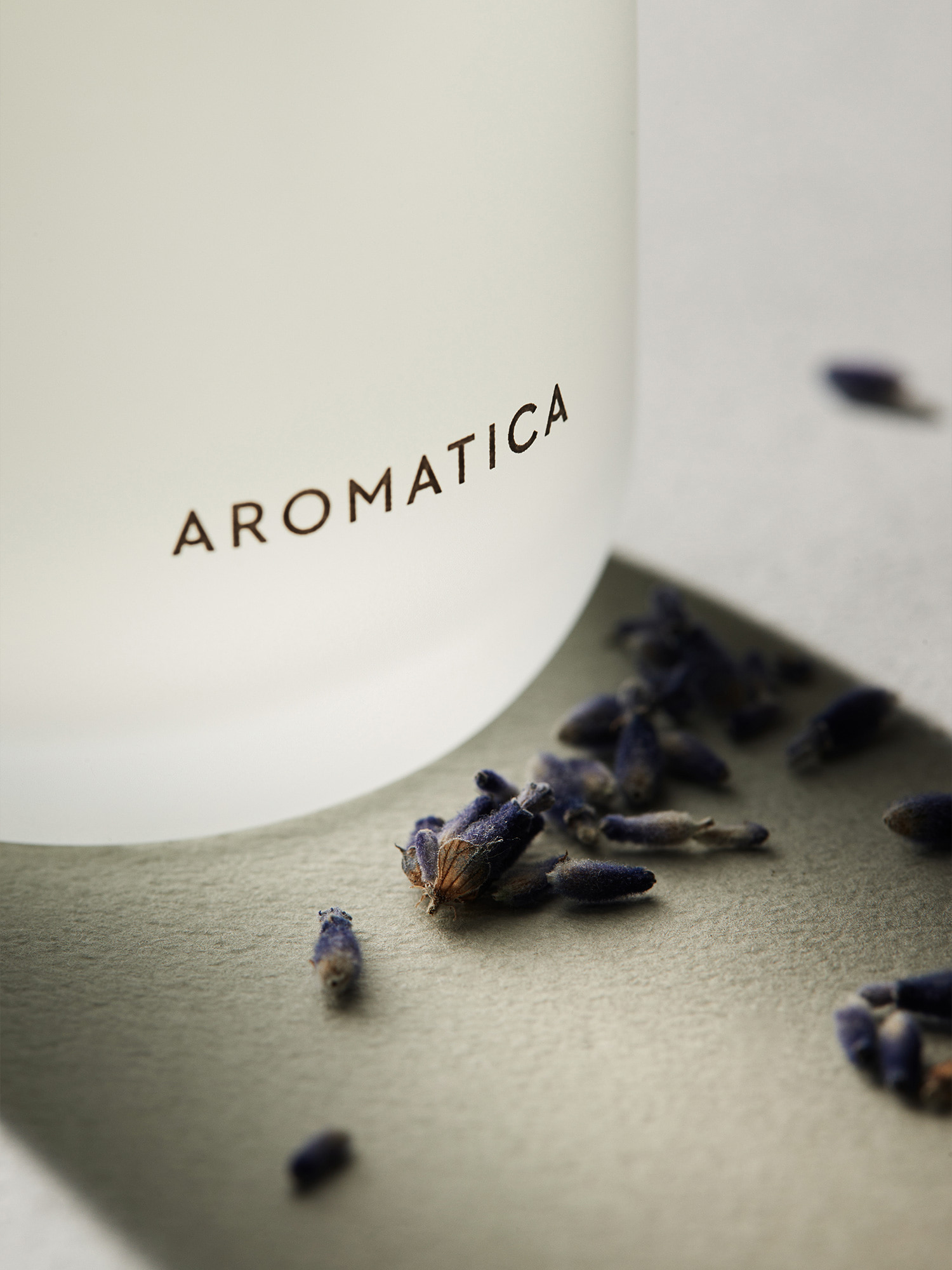 아로마티카 서렌 디퓨저 라벤더 & 라반딘 100ML 실내디퓨져 방향 향 생일선물 집들이선물