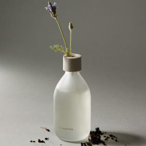 아로마티카 서렌 디퓨저 라벤더 & 라반딘 본품 100ML + 리필 200... 솔직 후기 | 실제 배치 사진 포함 - 상품 이미지 2