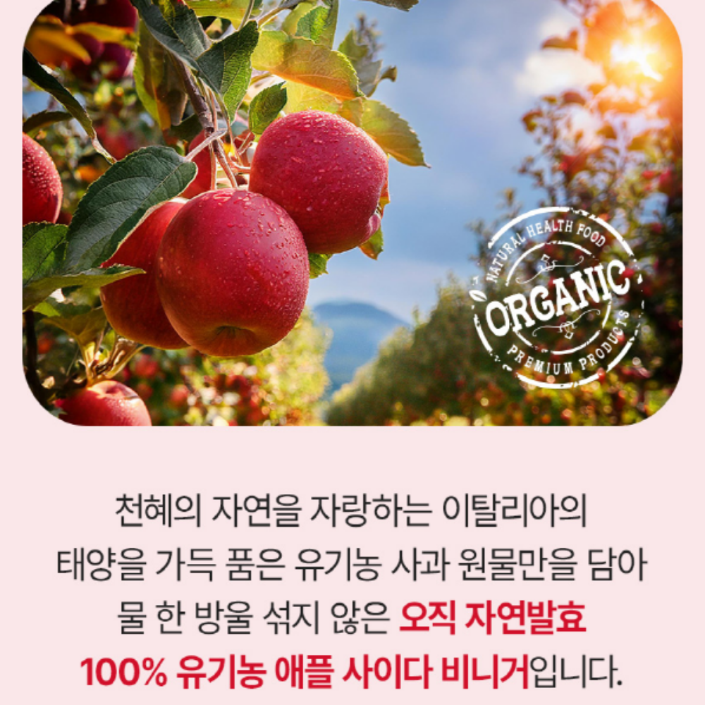 일양약품 유기농 애사비 애플사이다 비니거 스틱 - 상세 이미지 3