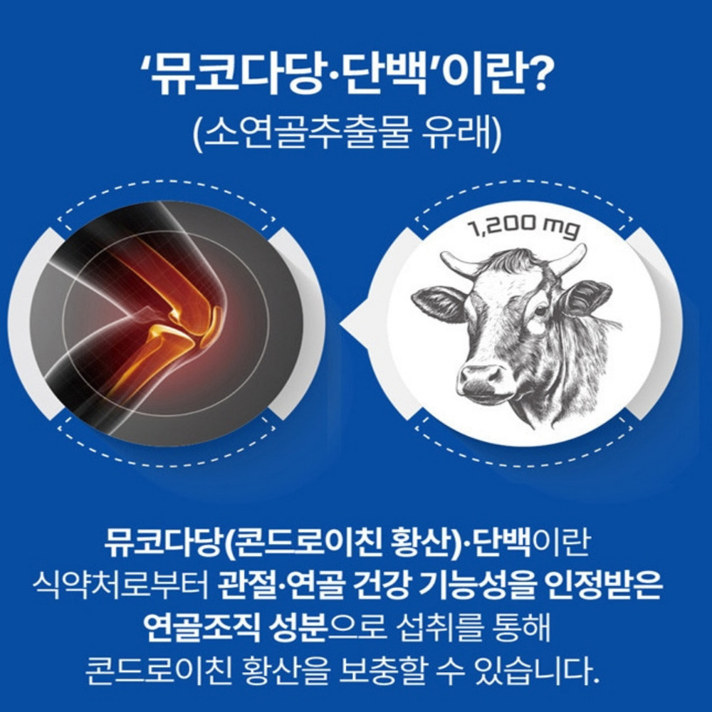 한미양행 소연골 콘드로이친 뮤코다당단백 1000mg 60정, 1개 - 상세 이미지 2