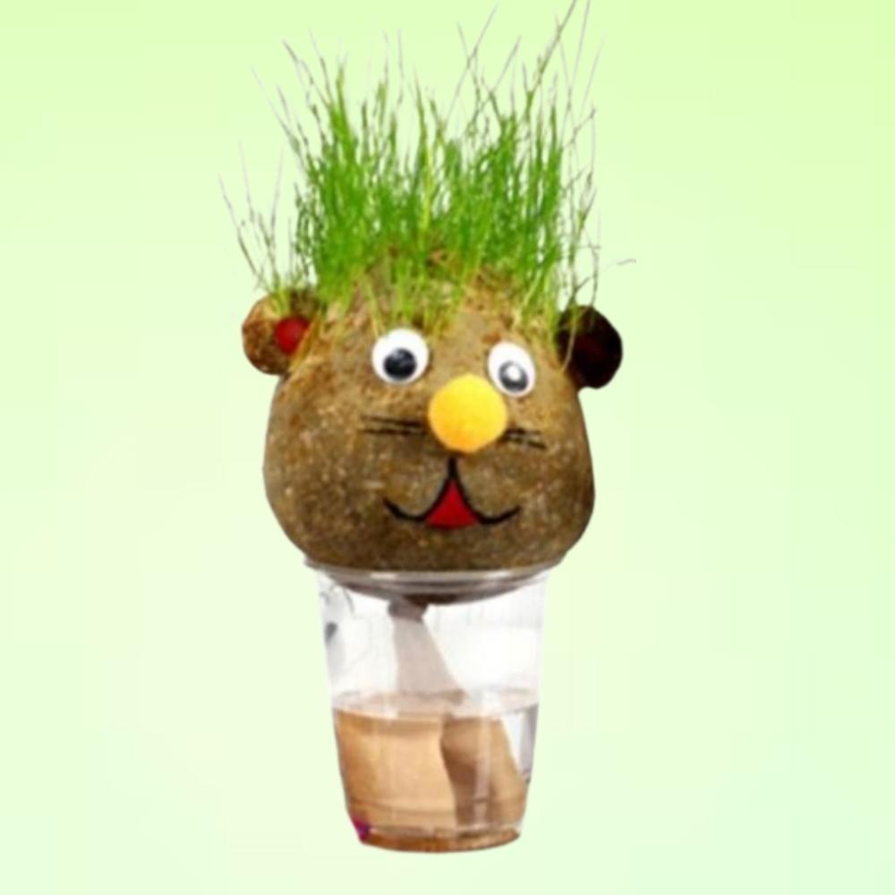 4세트 잔디인형살리기 잔디인형키트 토피어리식물 - 메인 이미지