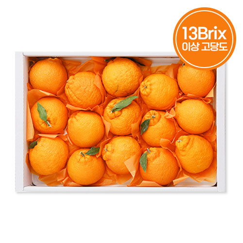 [석희농장] 서귀포 고당도 한라봉 선물세트 5KG (비닐포장) 고당도 16브릭스 - 상품 이미지