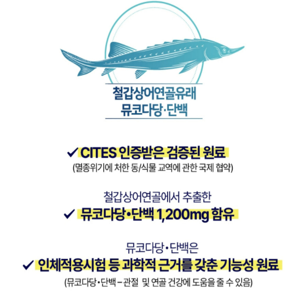 철갑상어 콘드로이친 CHC 닥터 뮤코다당단백 1100mg 60 - 상세 이미지 3