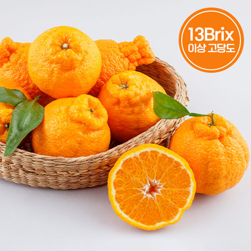 [석희농장] 서귀포 고당도 한라봉 선물세트 5KG (비닐포장) 고당도 16브릭스 - 상세 이미지 2