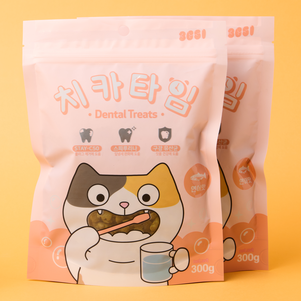 3651 치카타임 고양이 이빨과자 덴탈트릿 연어, 300g, 2개 - 메인 이미지