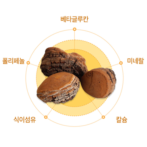 참굿즈 자연산 뽕나무 상황버섯 분말 가루 100% 80g 1통 캄보디아 고함량 베타글루칸 - 상세 이미지 3