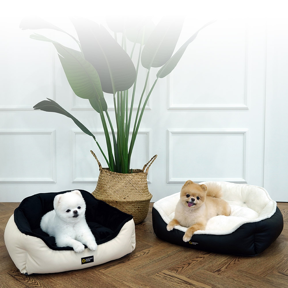 초코펫 강아지 방석 쿠션 침대 로얄사각방석 일반형