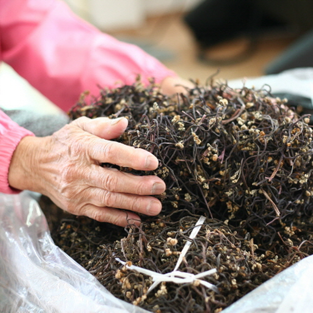 25년 국산 햇 먹고사리 100g 부드럽고 통통한 말린고사리 할머니고사리 - 상품 이미지