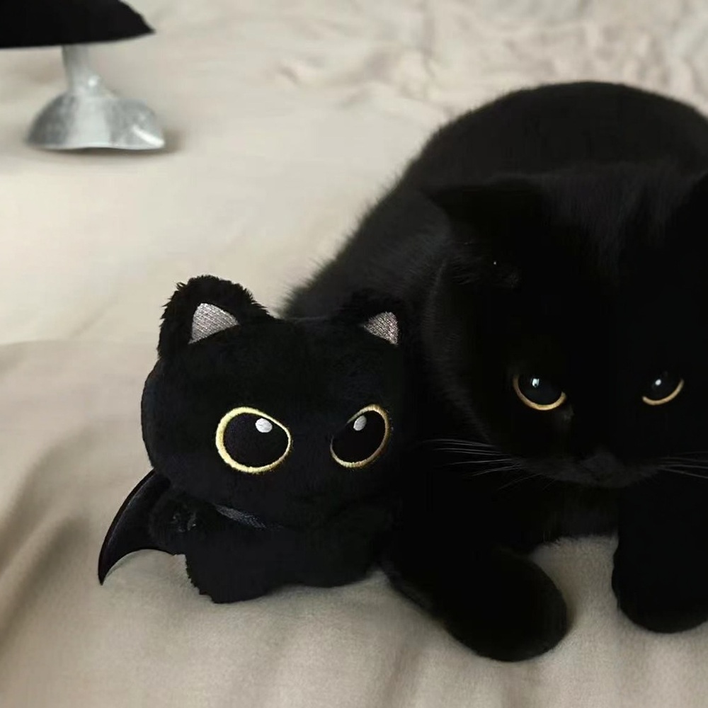 귀여운 검은고양이 NERO 봉제인형 애착인형 선물 - 메인 이미지