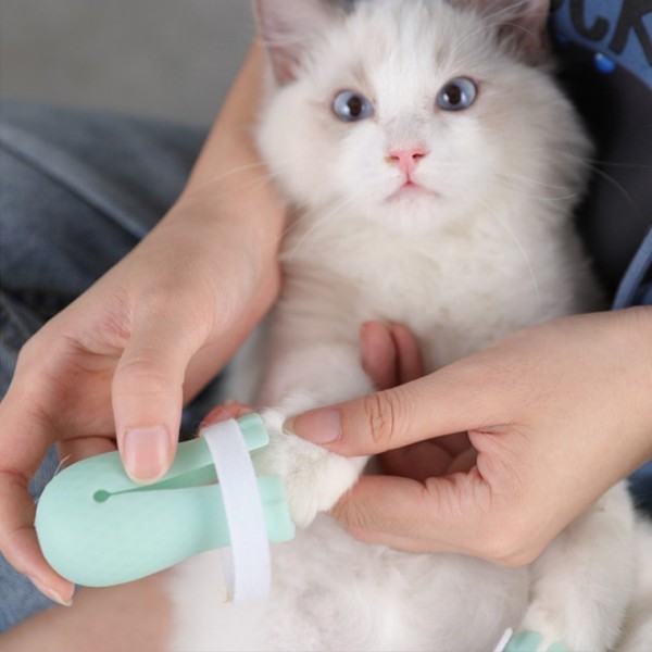 말랑한 고양이 신발 부츠 운동화 양말 산책 반려묘 찍찍이 4족 : 재스민 상점
