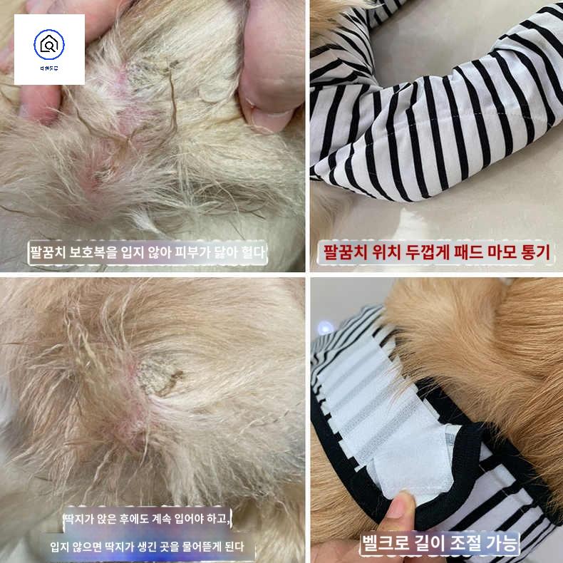 중형견 보조기 방지 강아지 보호 대형견 다리 관절 보호대 - 상세 이미지 4
