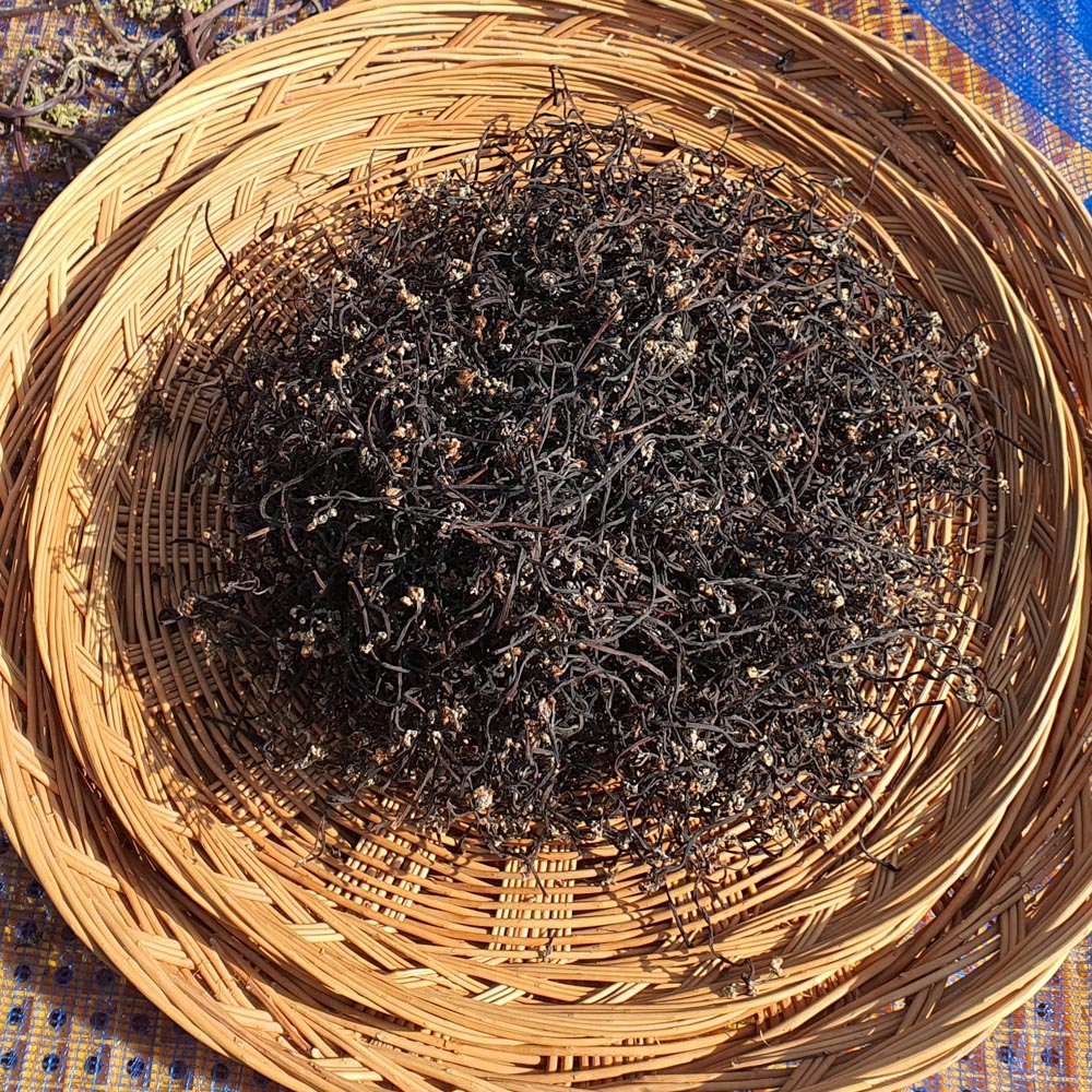 25년 국산 햇 먹고사리 100g 부드럽고 통통한 말린고사리 할머니고사리 - 상세 이미지 5
