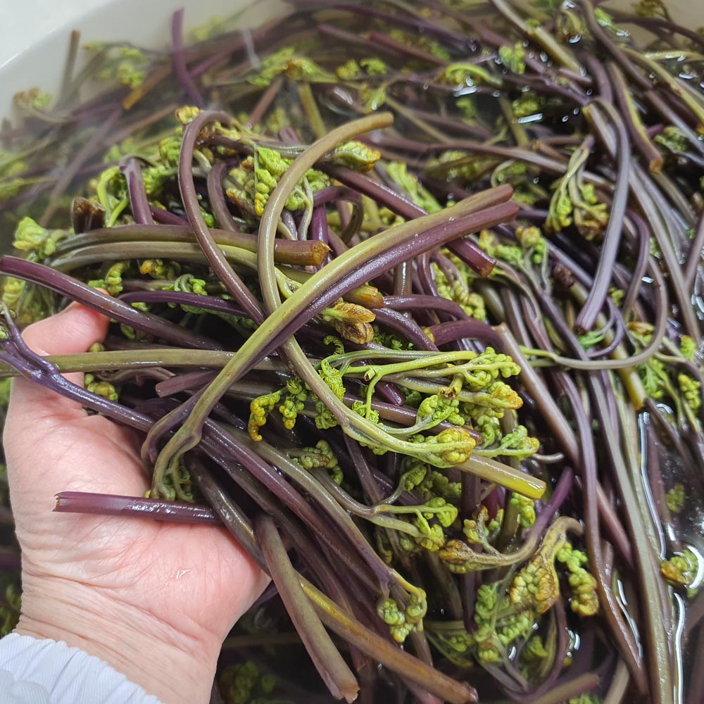 25년 국산 햇 먹고사리 100g 부드럽고 통통한 말린고사리 할머니고사리 이미지 6