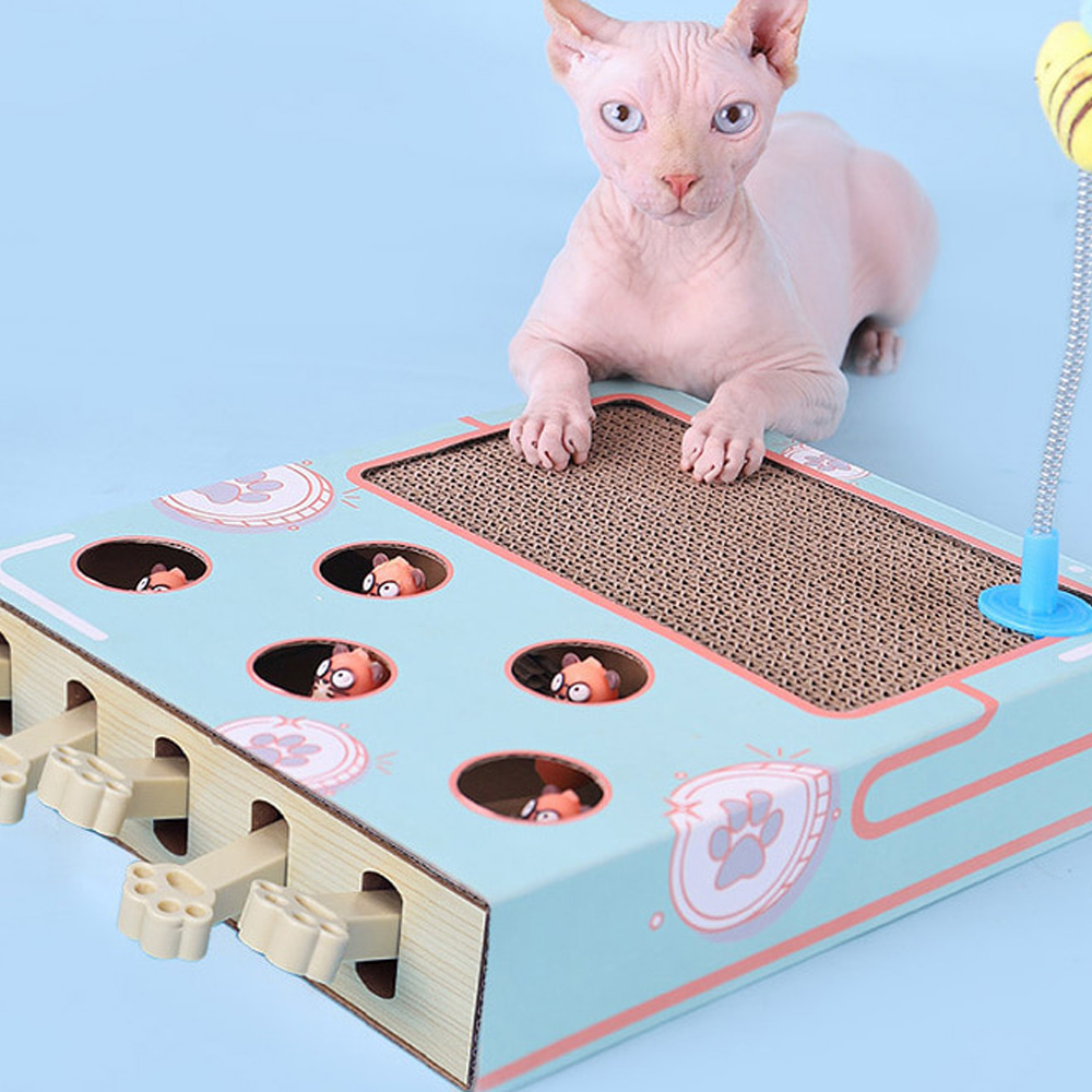 개과천선 어몽드 어드벤처 고양이 스크래쳐 장난감 발톱관리 터칭볼 스트레스 해소 고밀도 - 상세 이미지 3