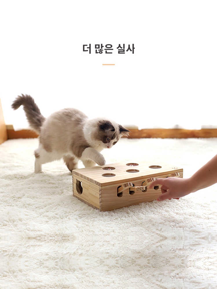 캣펀치 고양이 장난감 두더지잡기 사냥 인형 홀모피쥐 이미지 6