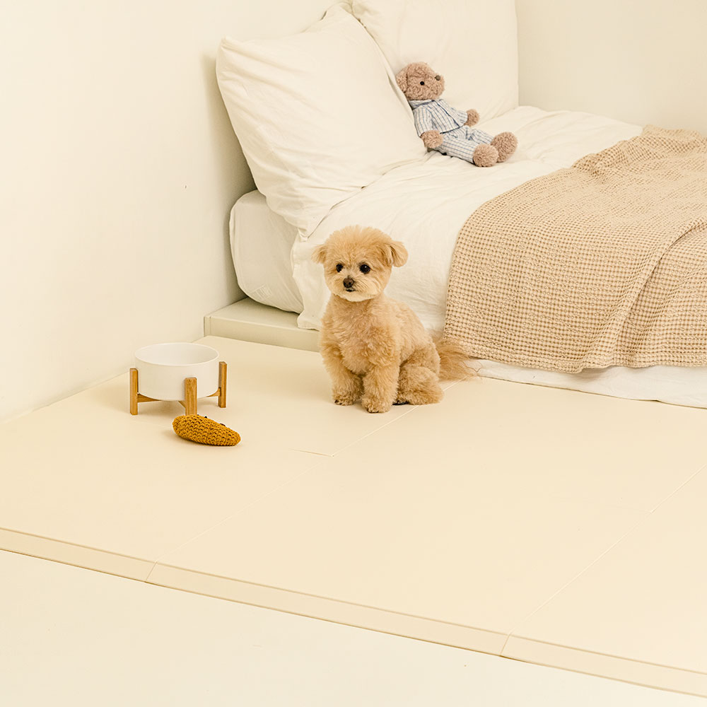 구루구루 올라운드 시공 매트 아기 강아지 고양이 층간소음 슬개골 황변방지 2.5T