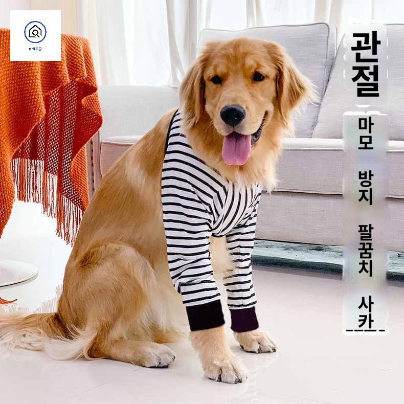 중형견 보조기 방지 강아지 보호 대형견 다리 관절 보호대 - 상품 이미지