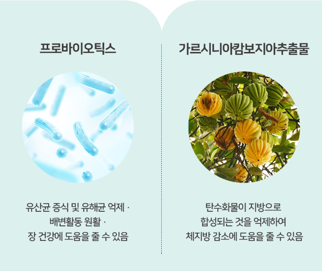 김소형원방 유산균 다이어트 28포 미국 락토바실러스 비피더스균 김소영 원장 - 상세 이미지 4