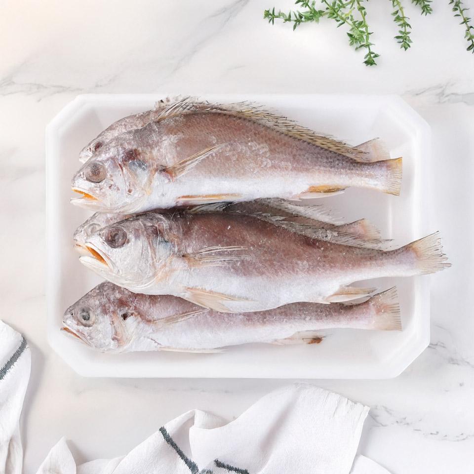 메가마트 긴가이석태(염침조기) 1.1kg/5미