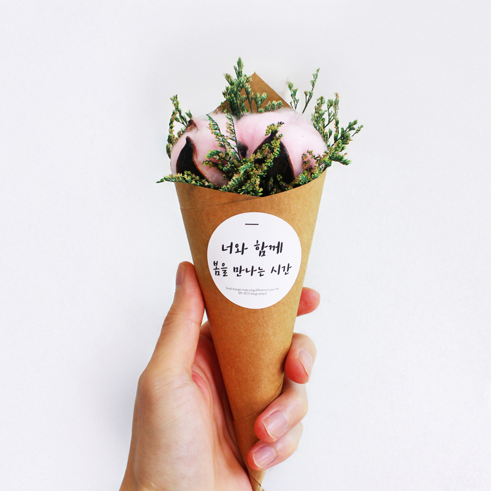 미니 목화꽃다발 프리저브드 드라이플라워 목화솜 졸업식 선물 이미지 8