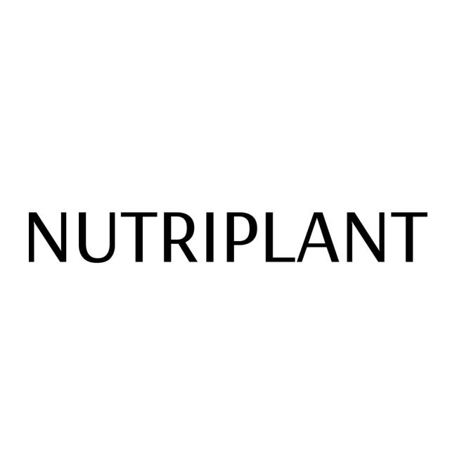 뉴트리플랜트 식물성 멜라토닌 10mg 플랜트멜라 고함량 HACCP 인증