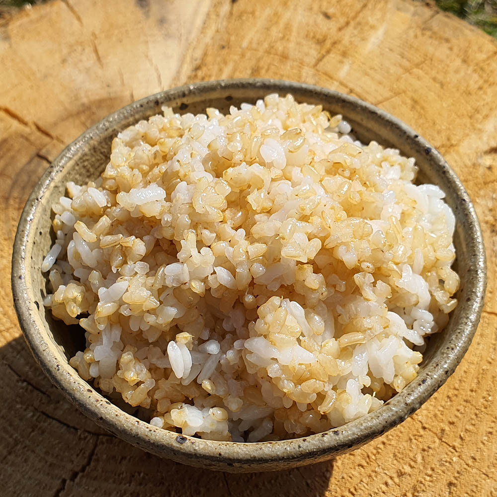 25년 산지직송 유기농 현미 [ 발아현미(멥쌀)1kg ] 부드러운 현미밥 쌀눈 잡곡밥 - 상세 이미지 5