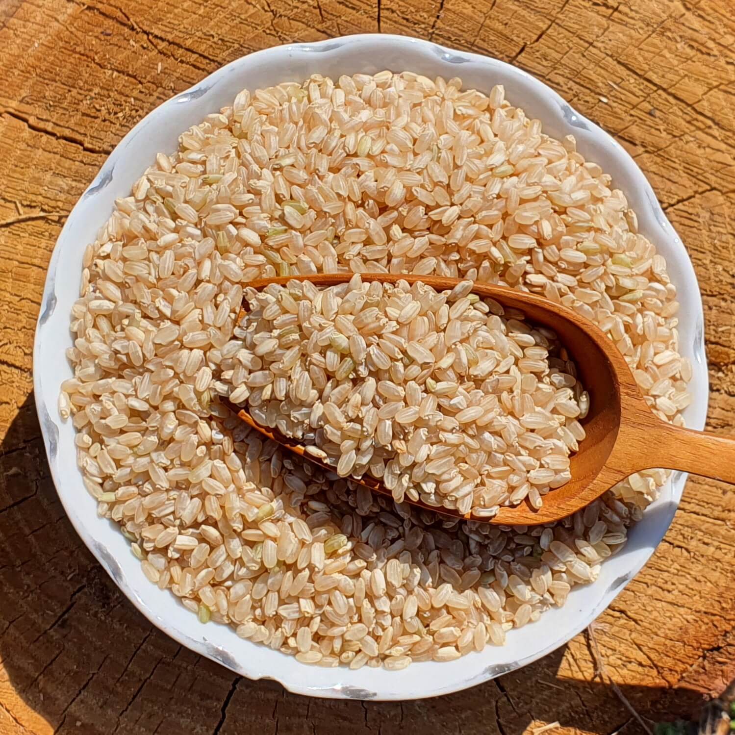 25년 산지직송 유기농 현미 [ 발아현미(멥쌀)1kg ] 부드러운 현미밥 쌀눈 잡곡밥 - 상세 이미지 2
