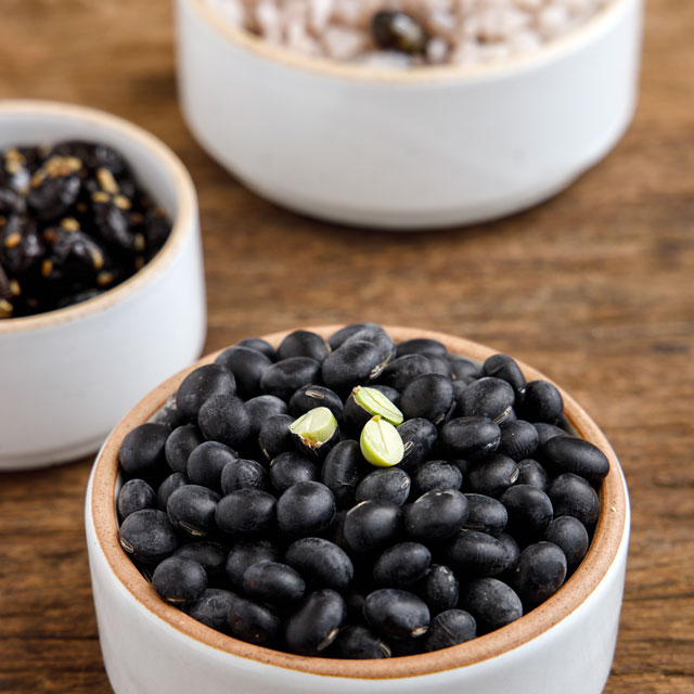 싸리재 국산 검은콩 속파란 서리태 약콩 속청 검정콩 850g, 1개 - 상세 이미지 4