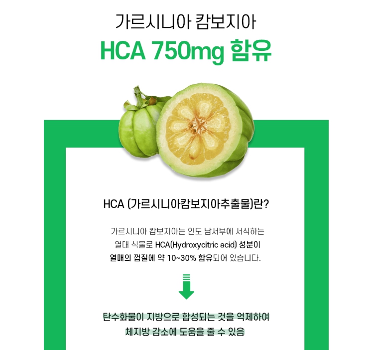 슬림 다이어트 유산균 120캡슐 가르시니아 체지방 감소 비피도박테리움롱검 비피더스균 - 상세 이미지 5
