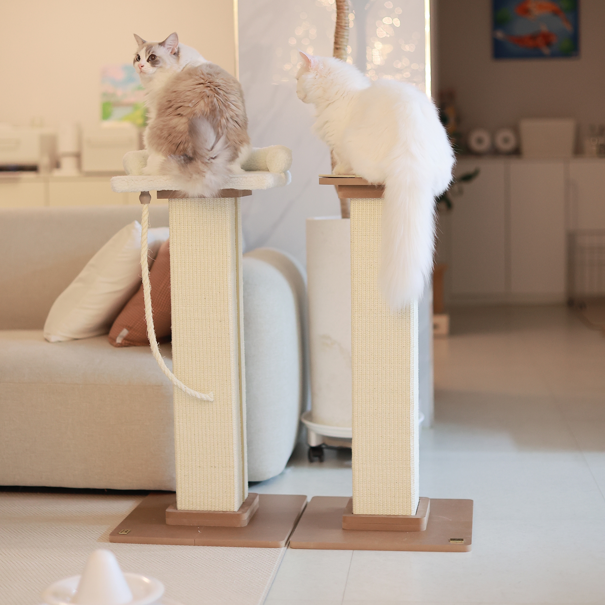 아토주 파우제 대형 80cm 수직 고양이 스크래쳐