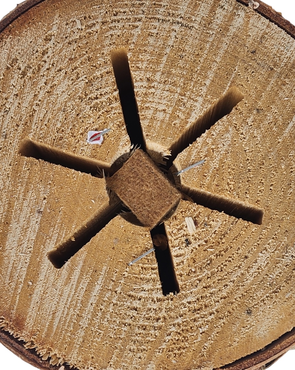 아홉산캠핑 착화제포함 자작나무 통나무장작 대형