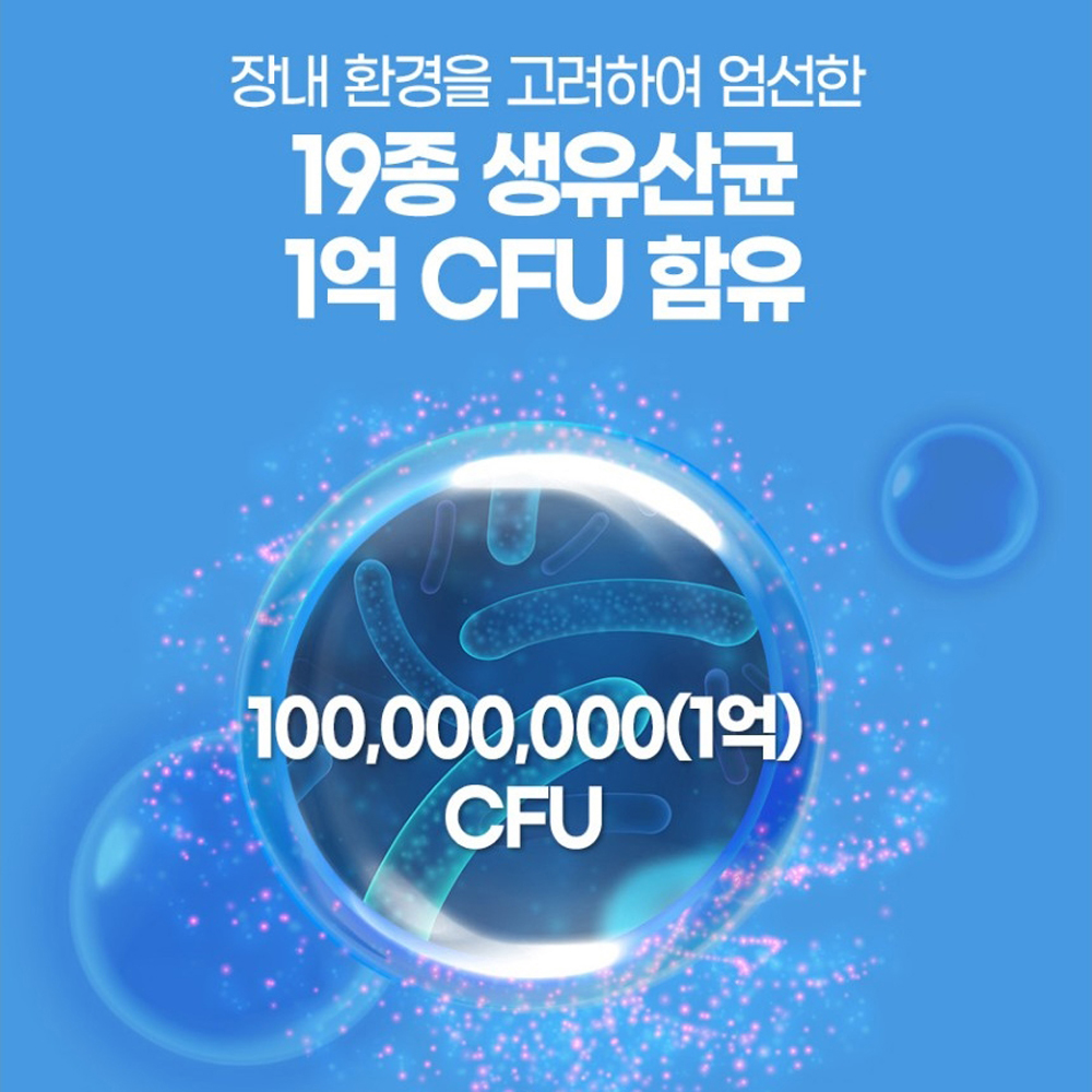 내츄럴플러스 유산균19 김치 모유유래 비피더스균 이미지 7