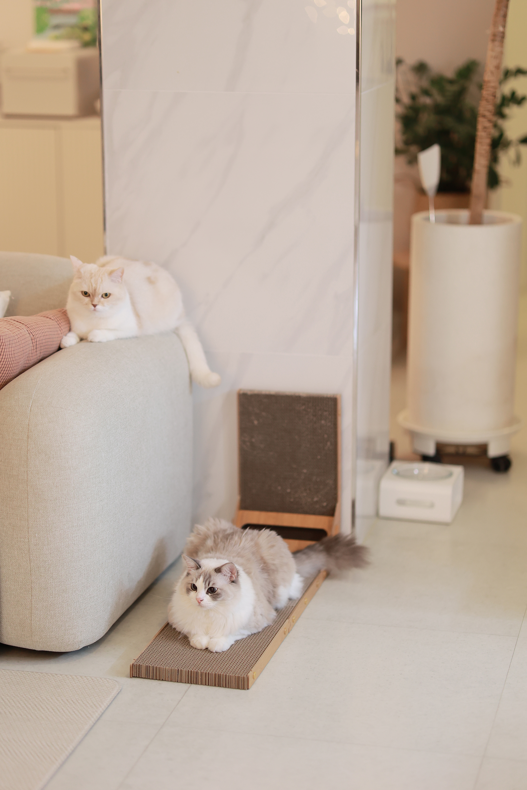 아토주 엘라인 고양이 수직 스크래쳐 83cm 화이트